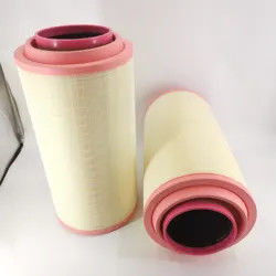 Bộ phận thay thế bộ lọc không khí động cơ AF25767 3840036 24424482